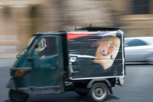 panning-photography-9 panning-photography-9